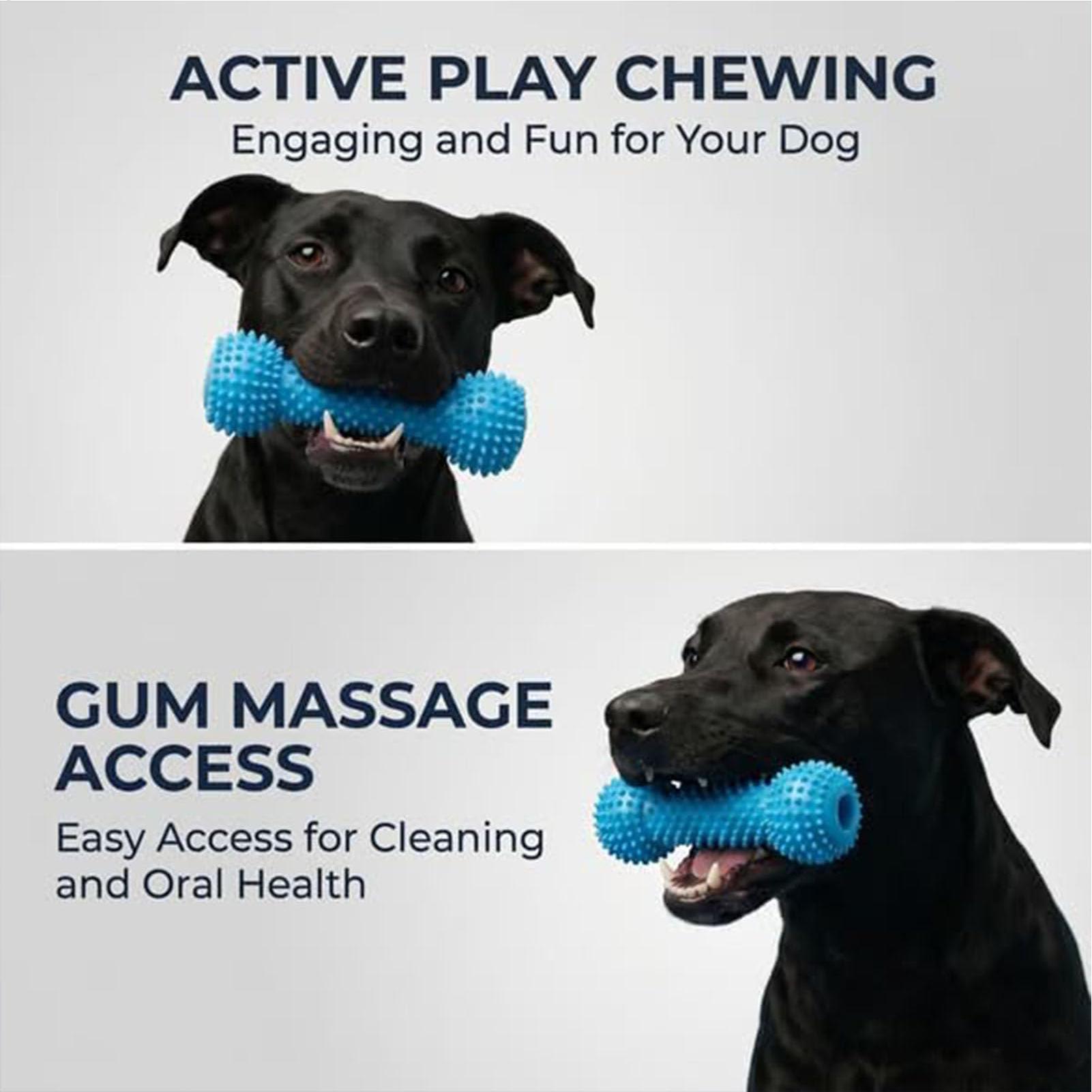 Dog Toothbrushing Toys Chewer  - огляд і ціна Rubber Treat Dispensing Dog Toy
