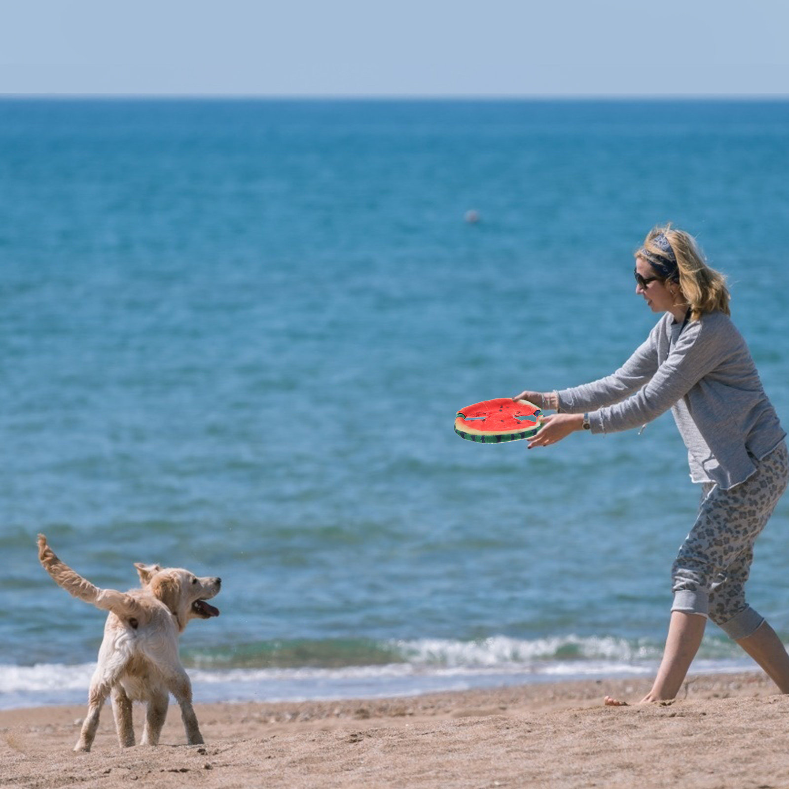 Dog Flying Disc Floating Water - огляд і ціна Flying Disc Dog Training Toy