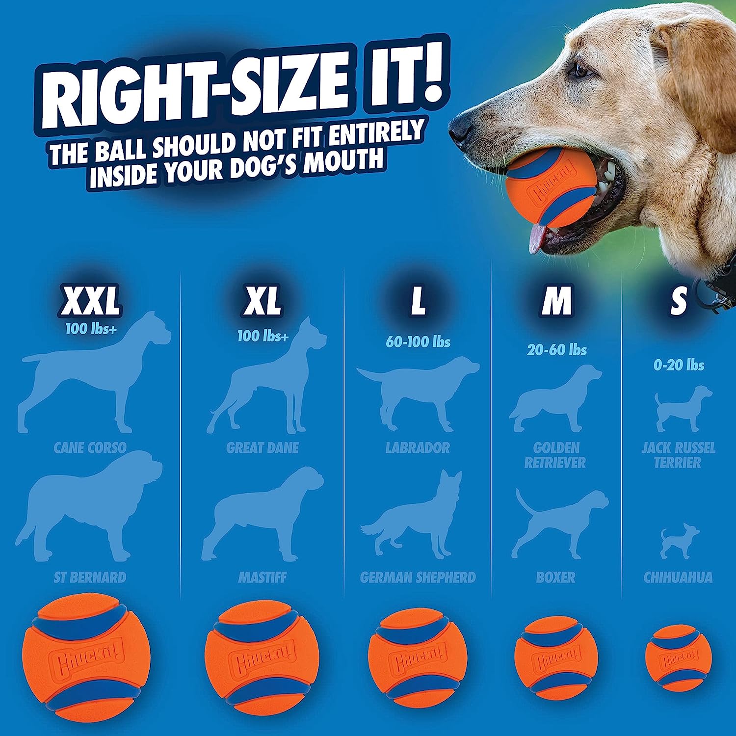 Chuckit Ultra Ball Dog Toy - огляд і ціна Indestructible Dog Chew Toy