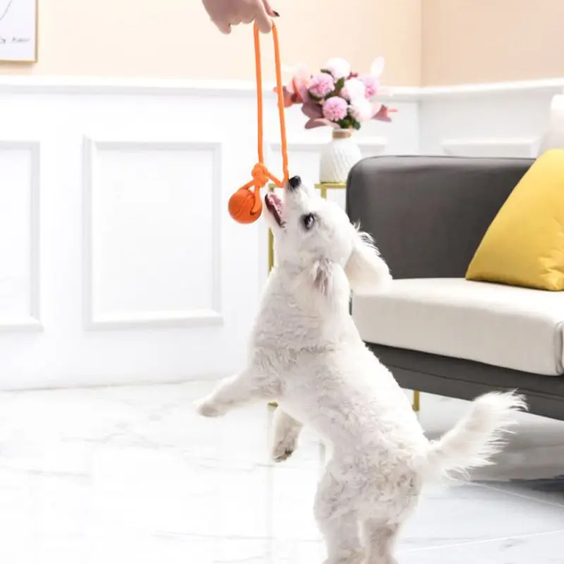 Dog Training Ball on Rope Cott - огляд і ціна Indestructible Dog Chew Toy