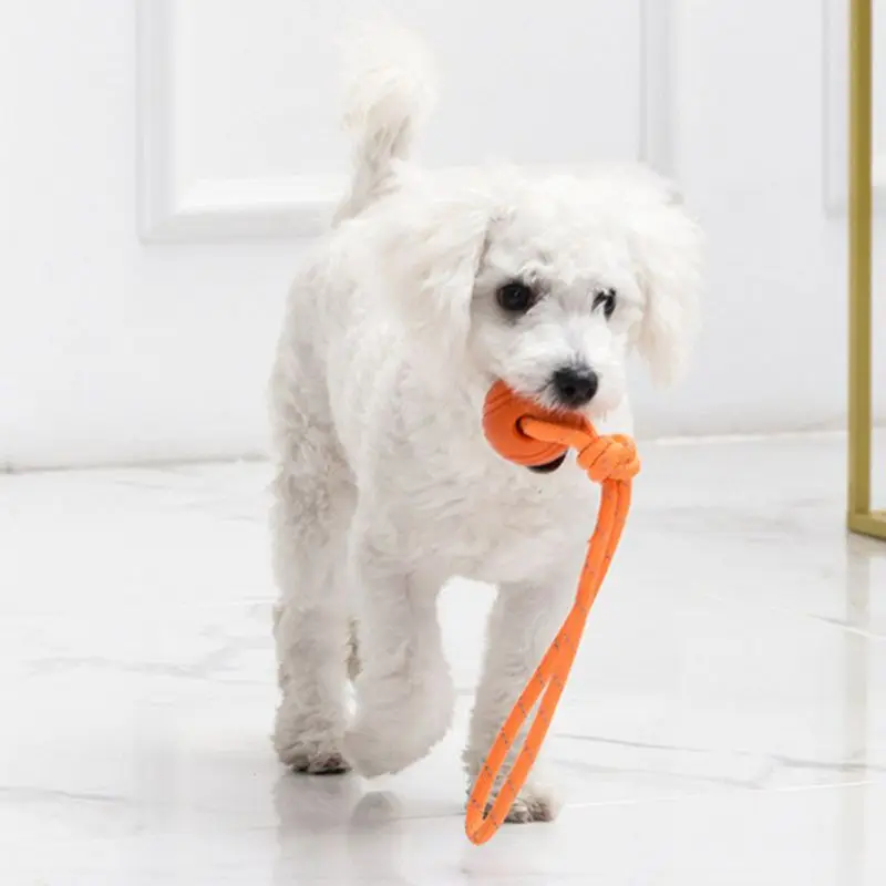 Dog Training Ball on Rope Cott - огляд і ціна Indestructible Dog Chew Toy