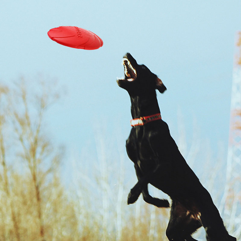 Rubber Pet Dog Flying Discs Sa - огляд і ціна Flying Disc Dog Training Toy