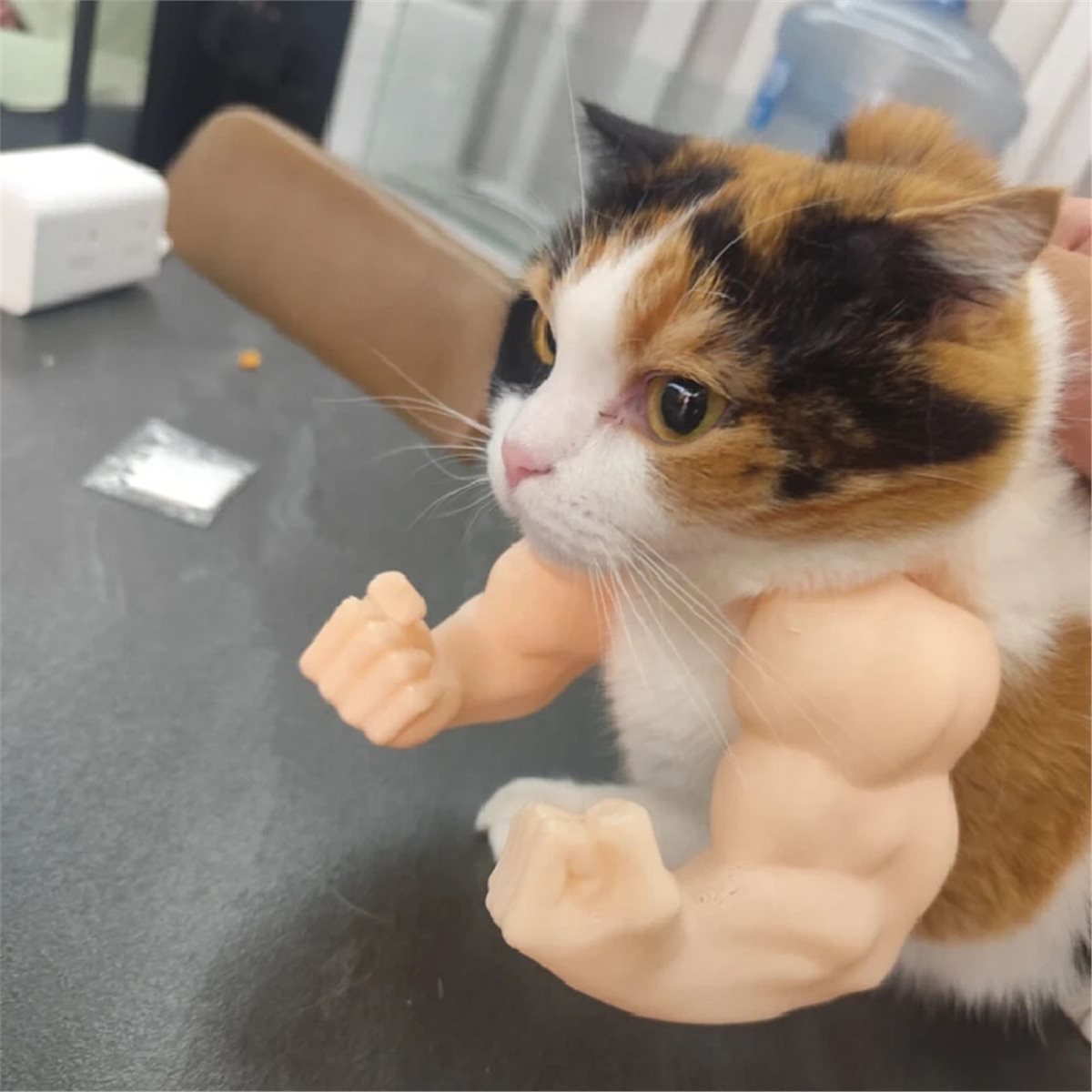 NEWCat Muscle Arm Pendant Pet  - огляд і ціна Cat Toys